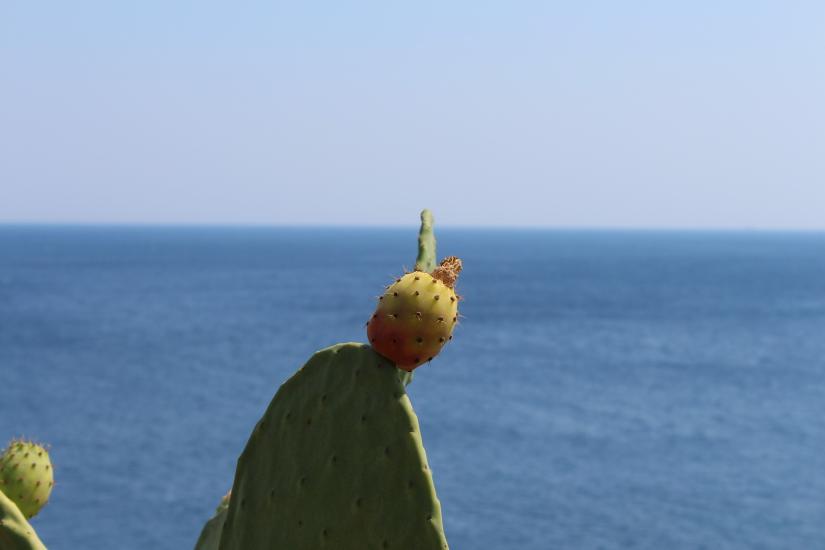what to do in puglia